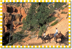 Zion horseback riding tour 