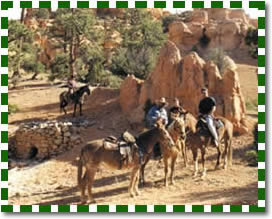 Zion horseback riding